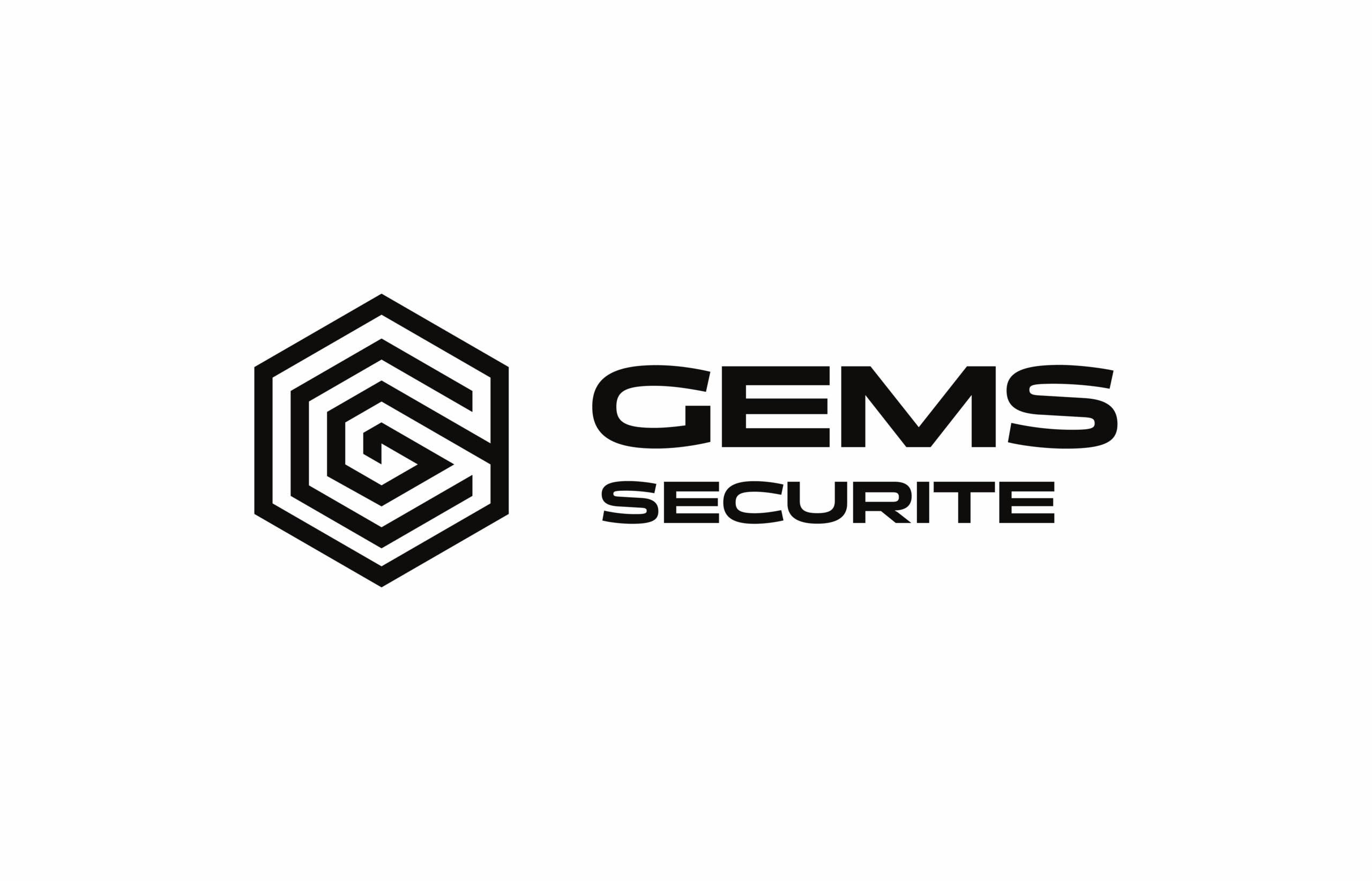 Securite (Monochrome - Noir)-38